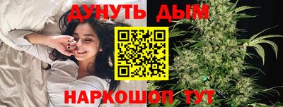 мдпв Славгород